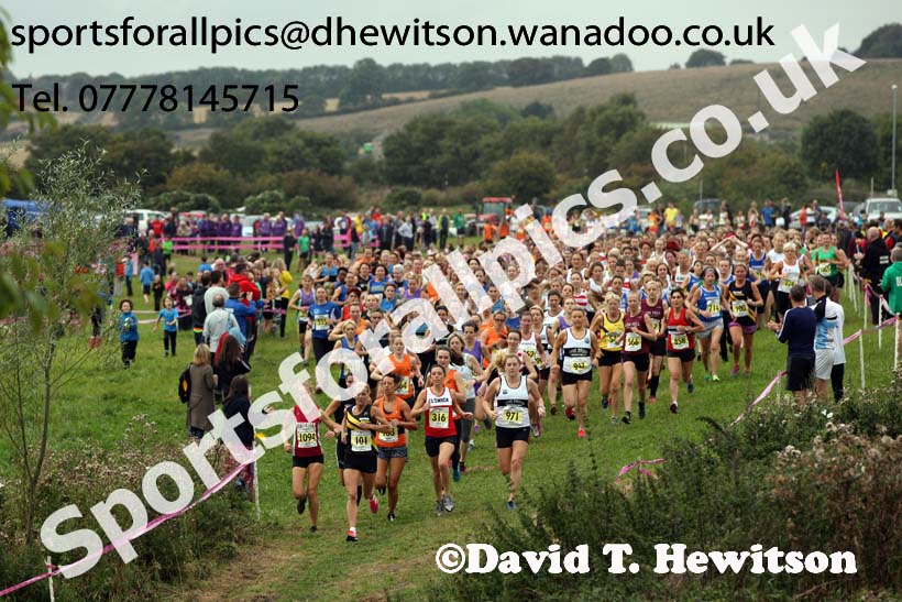 Senior womens Start Fitness North Eastern Harrier League, Tanfield, County Durham. Photo: David T. Hewitson/Sports for All Pics